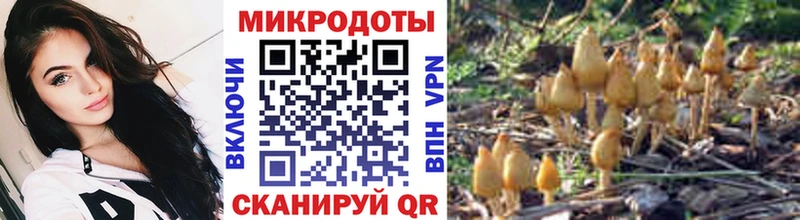 Псилоцибиновые грибы MAGIC MUSHROOMS Купить где Вязники